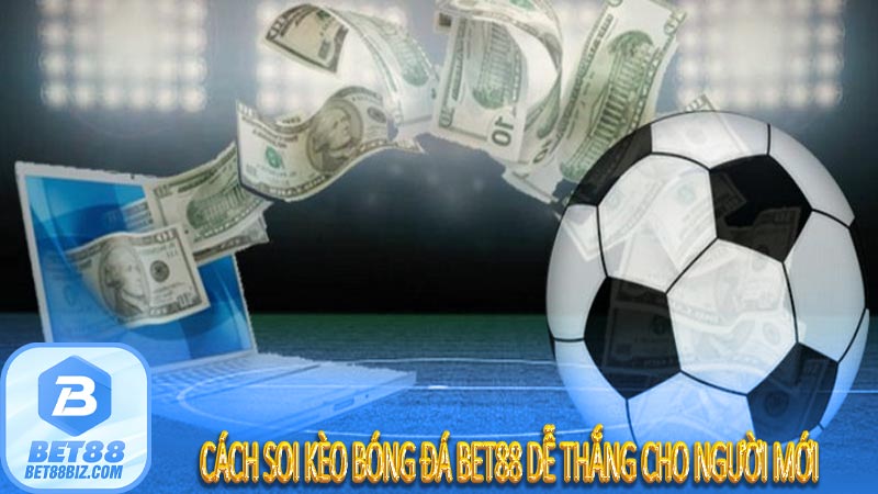 Cách soi kèo bóng đá bet88 dễ thắng cho người mới