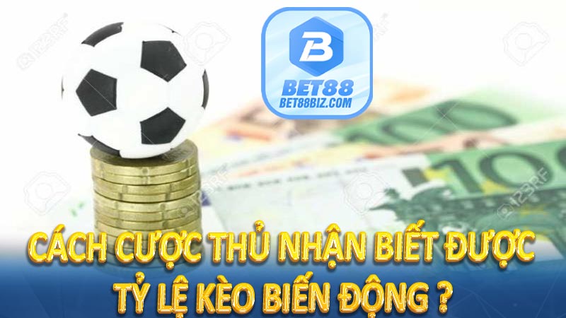 Cách cược thủ nhận biết được tỷ lệ kèo biến động ?